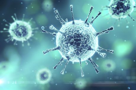Deadly virus outbreaks tracked in Europe