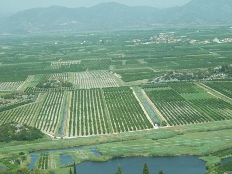 Croatia_agriculture, fot. Autor: László Szalai (Beyond silence) (Praca własna) [Public domain], Wikimedia Commons