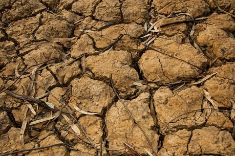 Cracked_ground, fot. By Jeroen Moes from Florence, Italy (Ground | Orange) [CC BY-SA 2.0 (http://creativecommons.org/licenses/by-sa/2.0)], via Wikimedia Commons