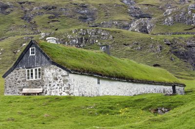 Green solutions for old buildings