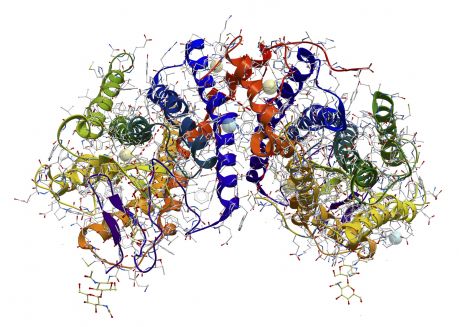 Elucidating the structure of intra-membrane proteases