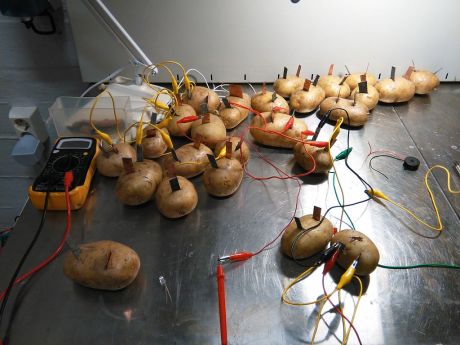 Potato_batteries - real green energy from potatoes by Videokaffe (2015-02-10 by Hannu Makaraine)