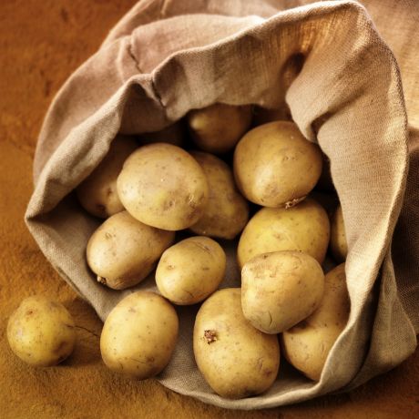 Identifying genes for the drought-tolerant potato