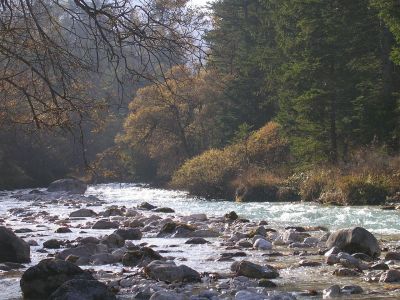Nebula on river Bistrica