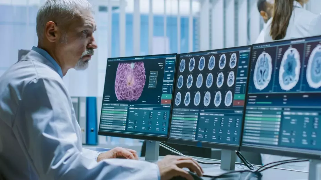 A scientist looks at an image of a brain on a large monitor in a laboratory.
