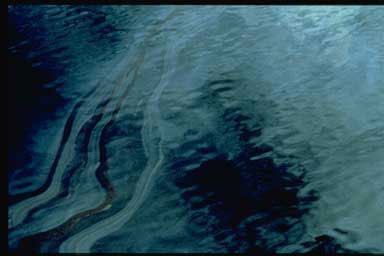 Oil Spill, fot. public domain