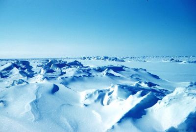 Arctic, fot. public domain